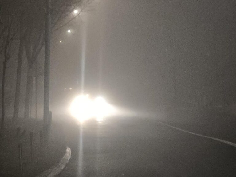 [Aggregator] Downloaded image for imported item #75874