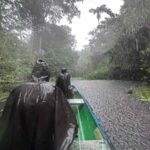 [Aggregator] Downloaded image for imported item #54474