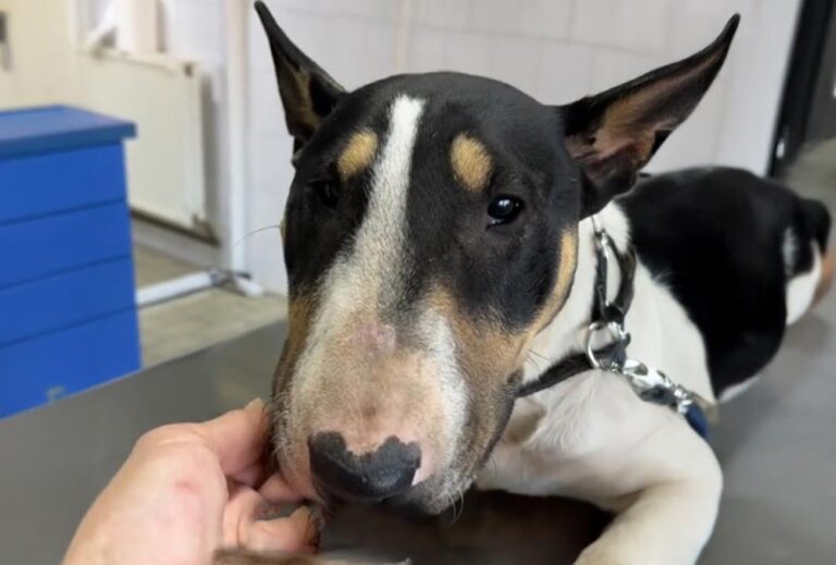 [Aggregator] Downloaded image for imported item #72670