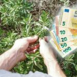 [Aggregator] Downloaded image for imported item #91838