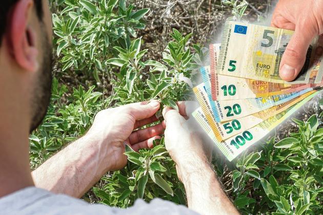 [Aggregator] Downloaded image for imported item #91838