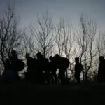 [Aggregator] Downloaded image for imported item #95493