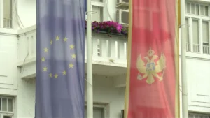 [Aggregator] Downloaded image for imported item #90445