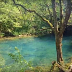 [Aggregator] Downloaded image for imported item #121518