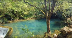 [Aggregator] Downloaded image for imported item #121518