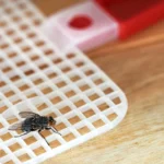 [Aggregator] Downloaded image for imported item #62447