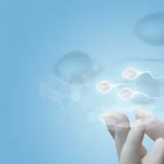 [Aggregator] Downloaded image for imported item #74182