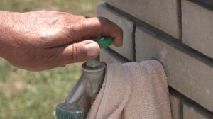 [Aggregator] Downloaded image for imported item #64872