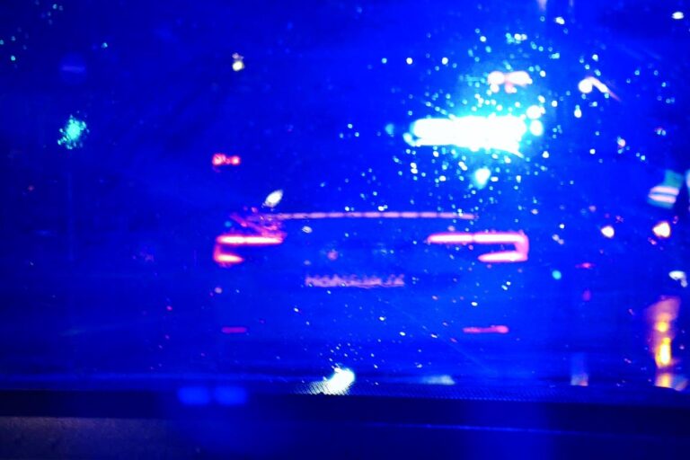 [Aggregator] Downloaded image for imported item #61913