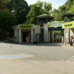 [Aggregator] Downloaded image for imported item #105904