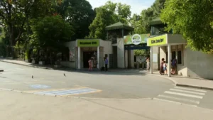 [Aggregator] Downloaded image for imported item #105904