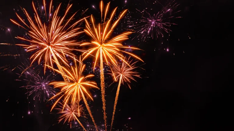 [Aggregator] Downloaded image for imported item #65239