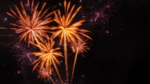 [Aggregator] Downloaded image for imported item #65239