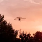 [Aggregator] Downloaded image for imported item #77694