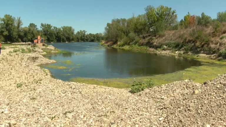 [Aggregator] Downloaded image for imported item #92226