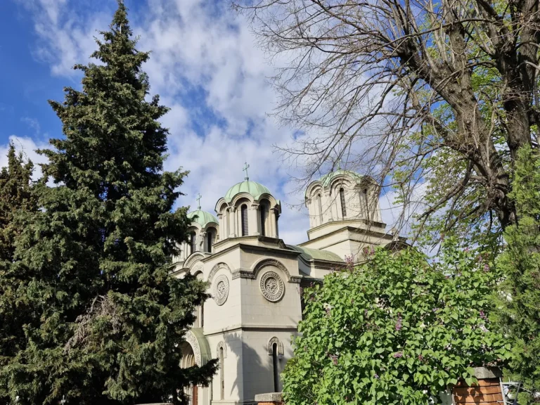 [Aggregator] Downloaded image for imported item #62781