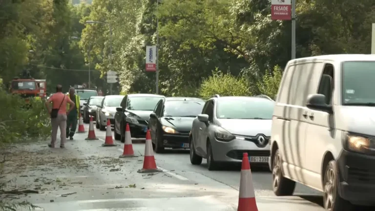 [Aggregator] Downloaded image for imported item #122318