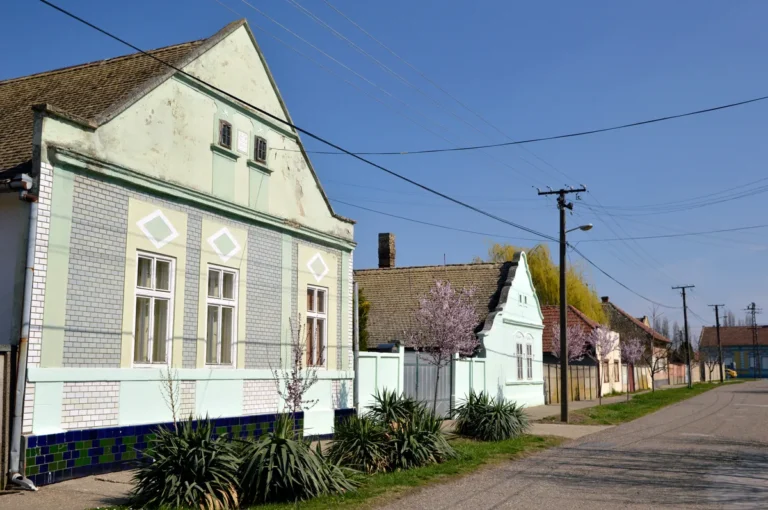 [Aggregator] Downloaded image for imported item #105900