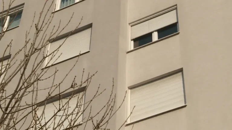 [Aggregator] Downloaded image for imported item #72306