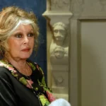 [Aggregator] Downloaded image for imported item #121704