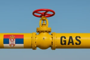 [Aggregator] Downloaded image for imported item #60348