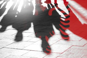 [Aggregator] Downloaded image for imported item #107818