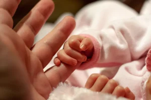 [Aggregator] Downloaded image for imported item #120260