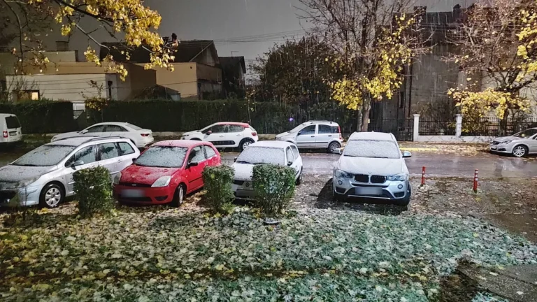 [Aggregator] Downloaded image for imported item #117749