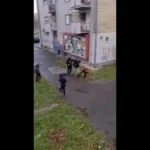 [Aggregator] Downloaded image for imported item #54193