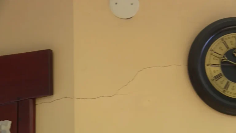 [Aggregator] Downloaded image for imported item #69565