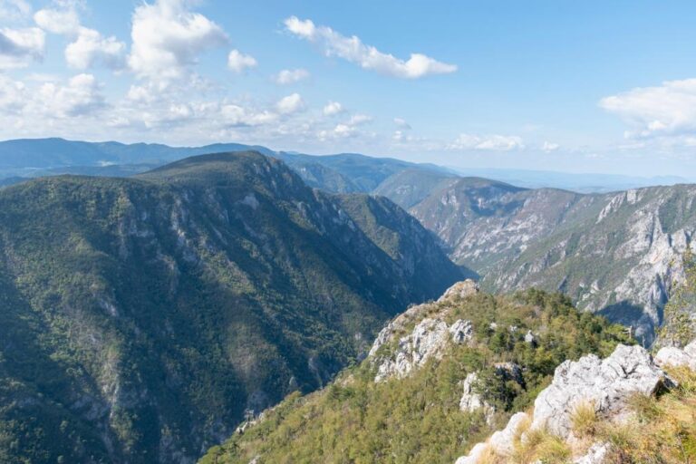 [Aggregator] Downloaded image for imported item #55296