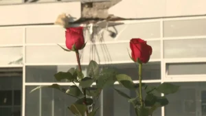 [Aggregator] Downloaded image for imported item #55024