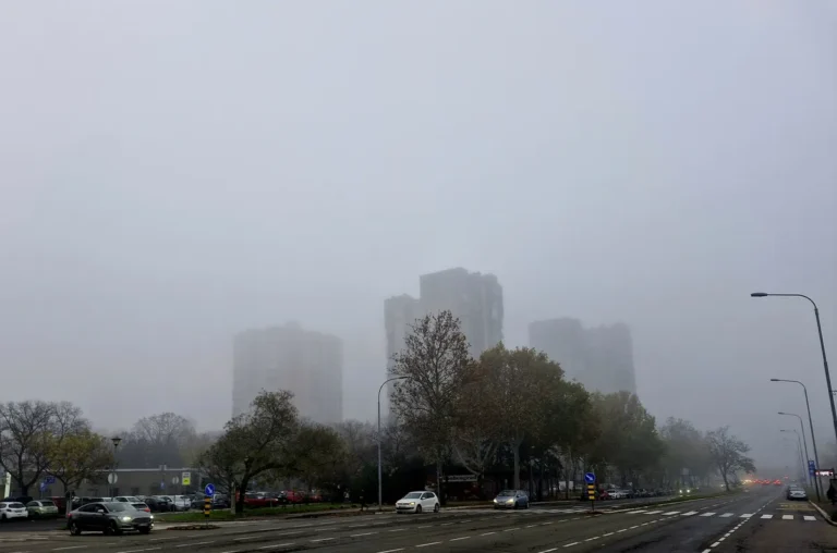 [Aggregator] Downloaded image for imported item #81598