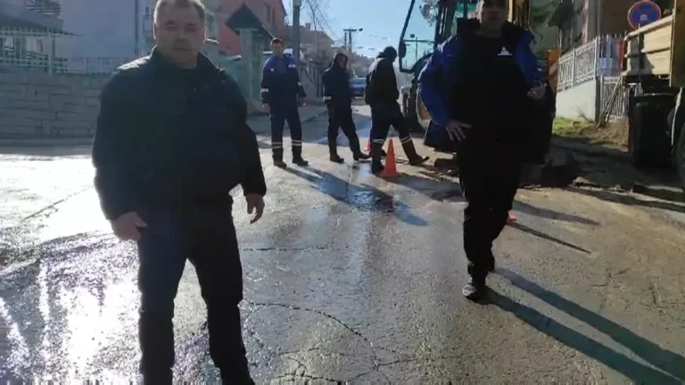 [Aggregator] Downloaded image for imported item #56551