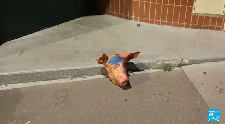 [Aggregator] Downloaded image for imported item #57557