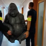 [Aggregator] Downloaded image for imported item #59275