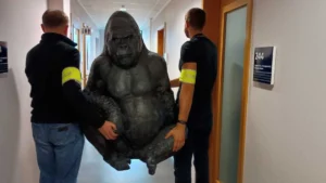 [Aggregator] Downloaded image for imported item #59275