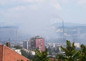 [Aggregator] Downloaded image for imported item #85890