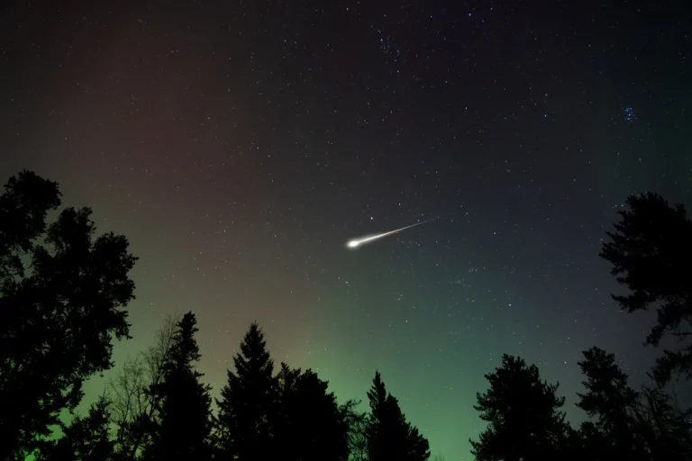 [Aggregator] Downloaded image for imported item #66054