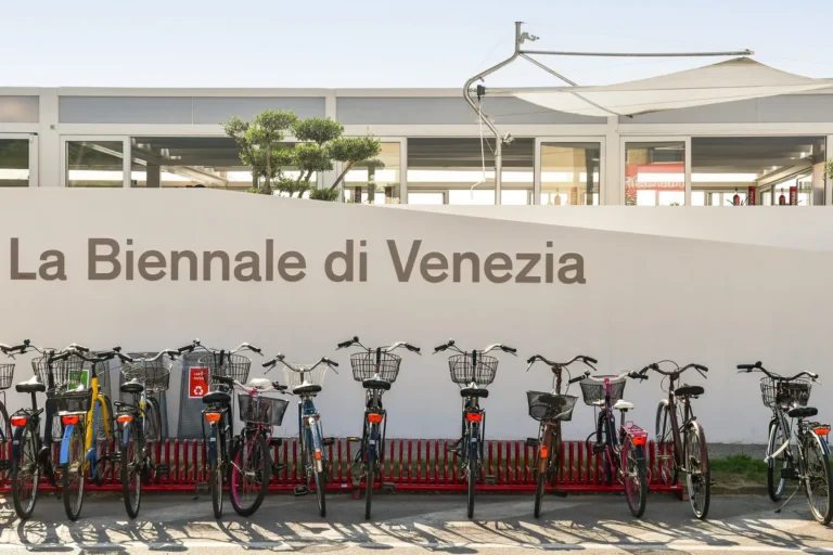 [Aggregator] Downloaded image for imported item #68292