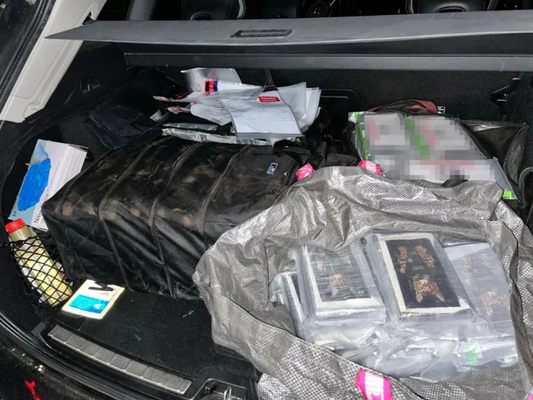 [Aggregator] Downloaded image for imported item #70653