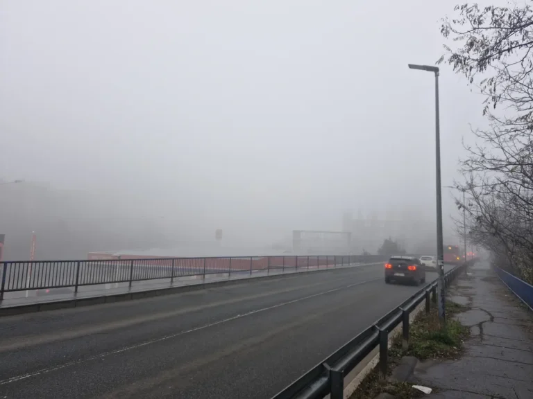 [Aggregator] Downloaded image for imported item #81593