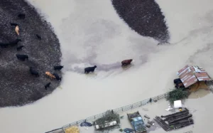 [Aggregator] Downloaded image for imported item #77763