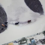 [Aggregator] Downloaded image for imported item #77762