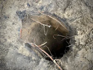 [Aggregator] Downloaded image for imported item #80864