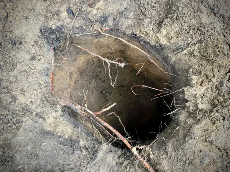 [Aggregator] Downloaded image for imported item #80864