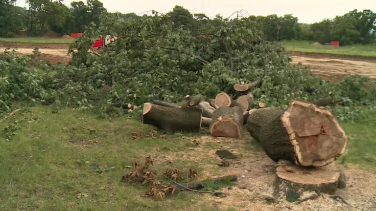 [Aggregator] Downloaded image for imported item #85878