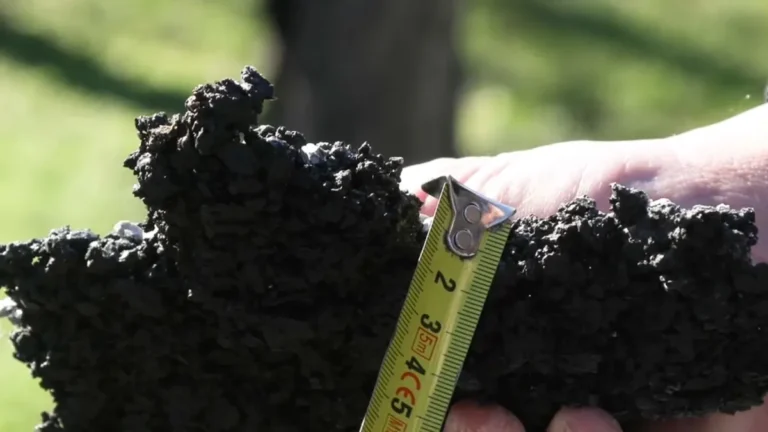 [Aggregator] Downloaded image for imported item #89893