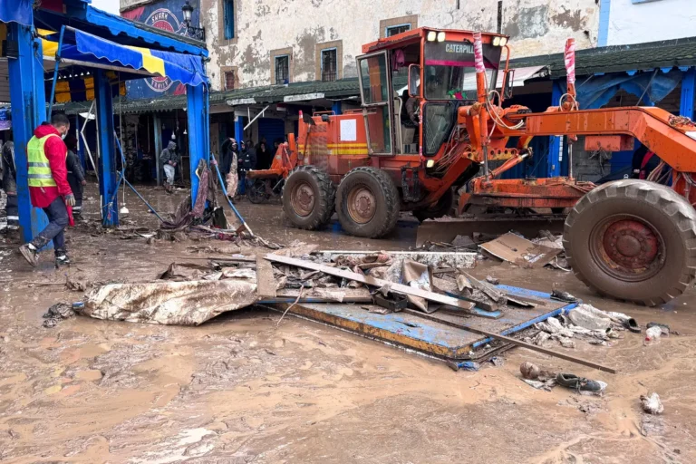 [Aggregator] Downloaded image for imported item #89832