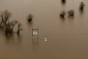 [Aggregator] Downloaded image for imported item #89846